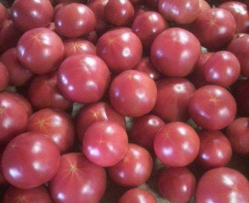 tomato2011071815240000