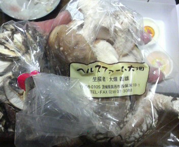 oohatanouennshiitake1