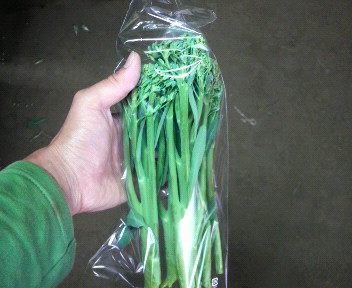 kukiburokkoir-irekara6