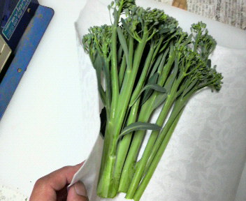 kukiburokkoir-irekata1