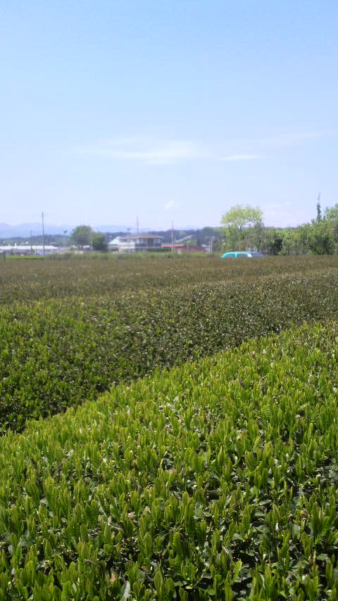 b34f69c7.jpg