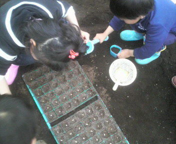 kodomotachinotanemaki2