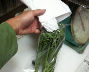 kukiburokkori-irekata5