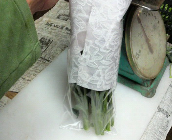 kukiburokkoir-irekata4