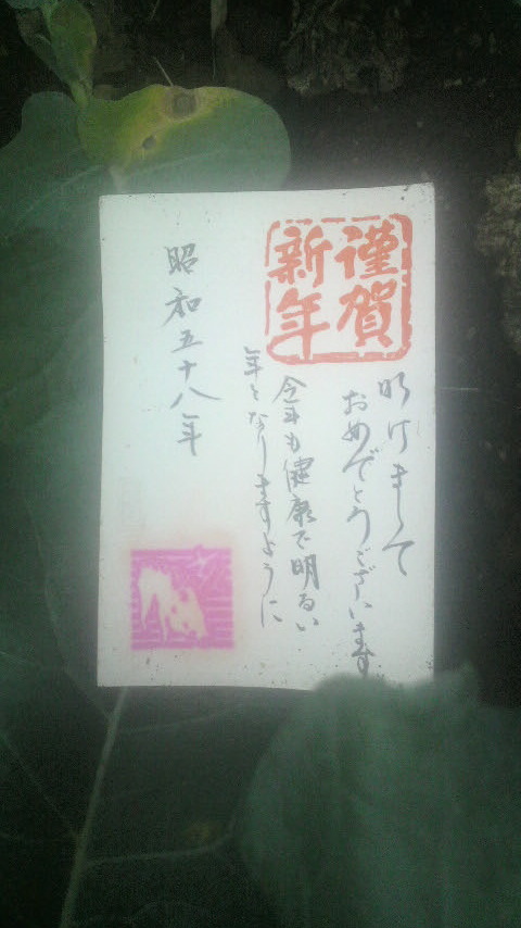 e2917c82.jpg