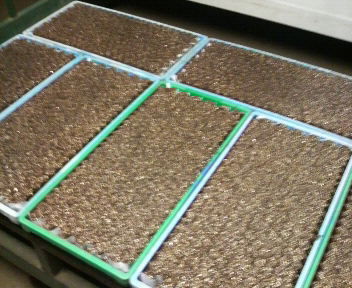 buromiyomidorirasutohashu1