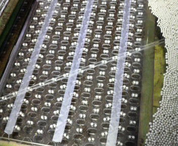 雨が降ったらネギの種まき 上原農園１７代目のブログ ａ ｇｙｏ農伝記