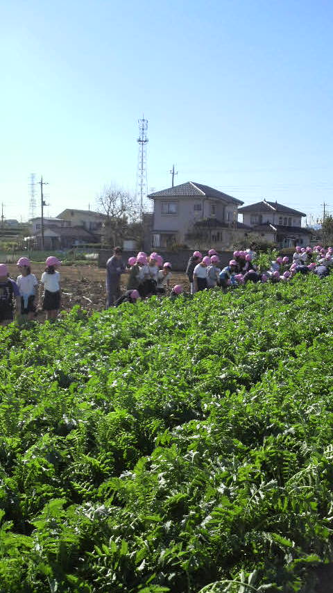f72660c6.jpg