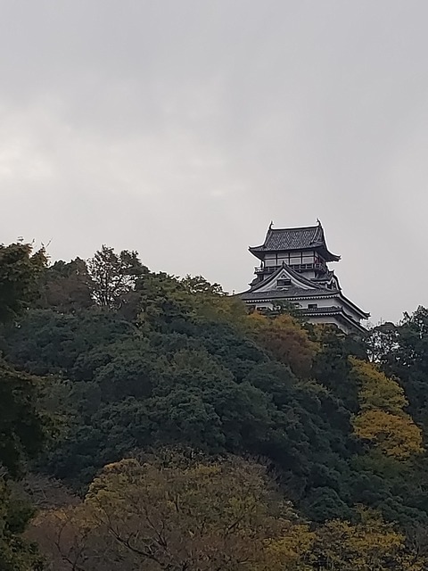 20181112_133608