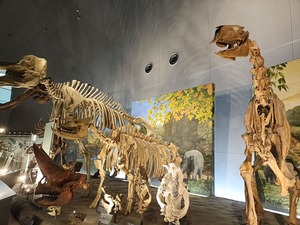 IMG20260831110405