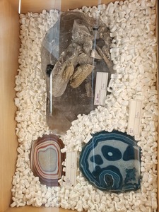 IMG20260831111201