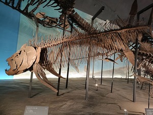 IMG20260831105213