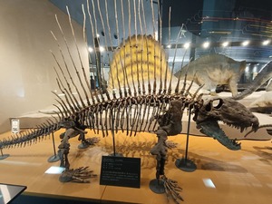 IMG20260831104816