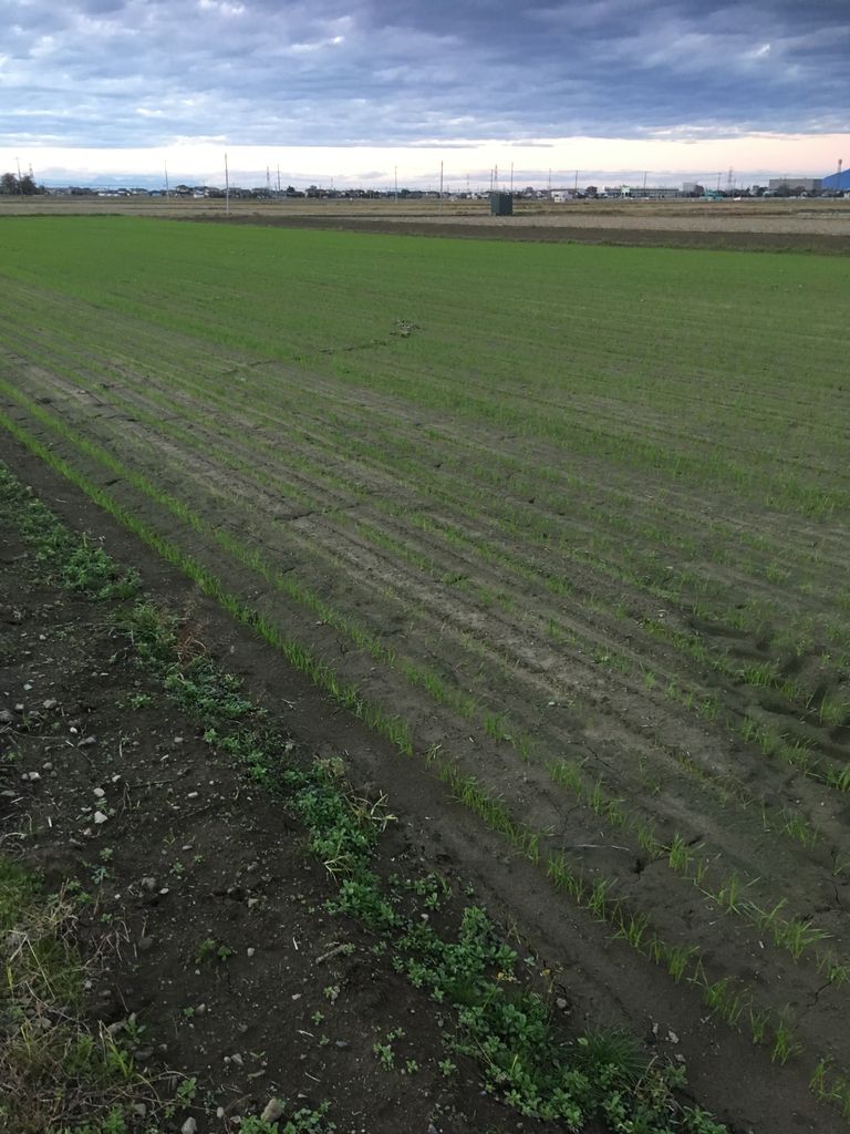 C7FC04D4-CB89-462F-9C77-7B6FEC29A2CE