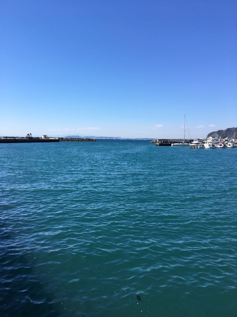 D6A73DA9-6070-40CA-80AE-EE7B0EF9AE66