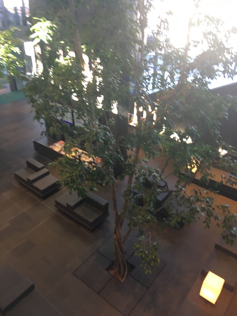 A9E5313A-C283-416D-9095-DD4067B308E8