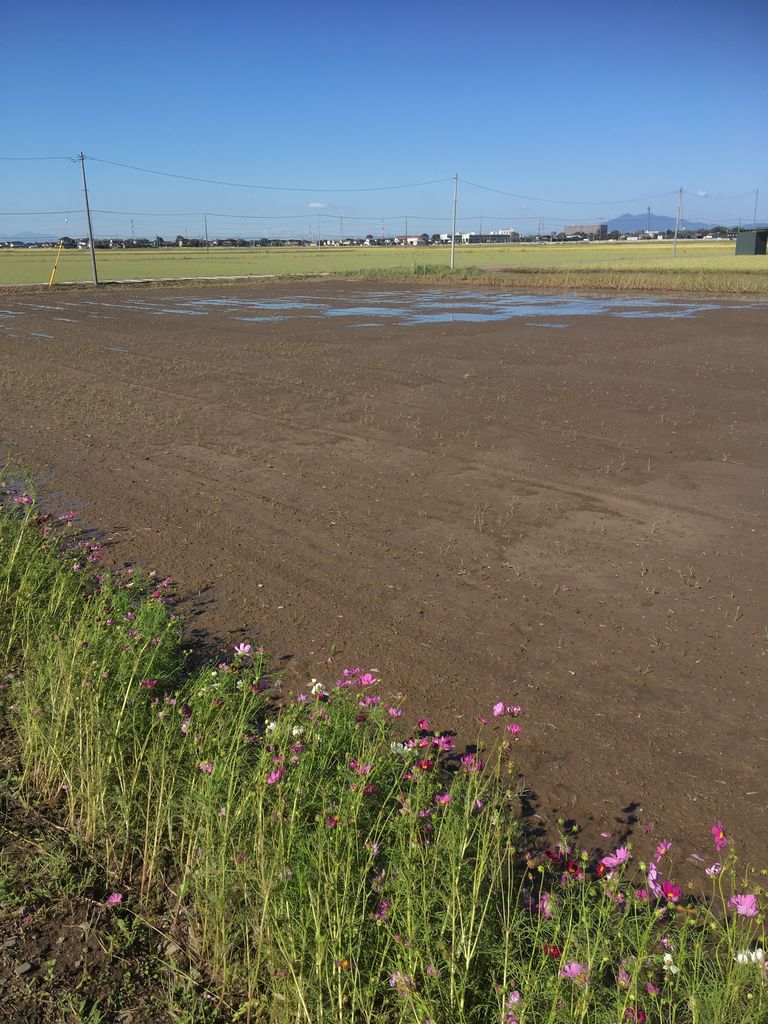 A6FF0506-48C8-47D9-9B70-786FB8311B00