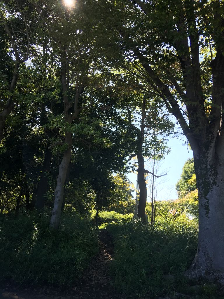 8607A9D5-8774-40A0-9C67-6914C55EA851