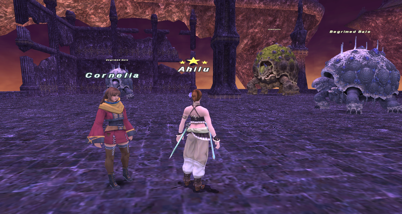 ウォークオブエコーズ ソロ : 【FFXI】あひるの庭。