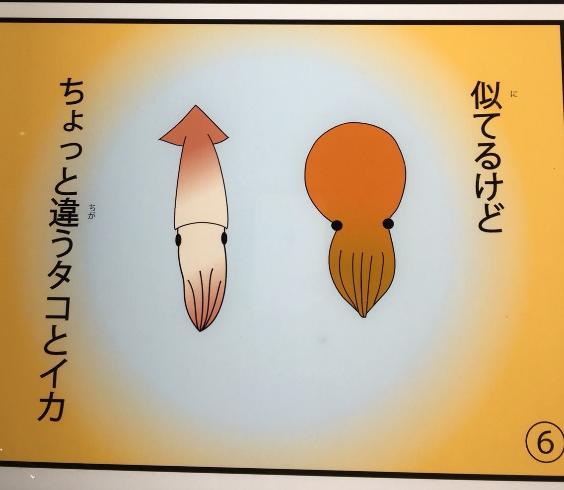 同棲と結婚の違いについて考えた 脱 長い春 40代 晩婚女のつれづれ日記 同棲と結婚の違いについて考えた 脱 長い春 40代 晩婚女のつれづれ日記