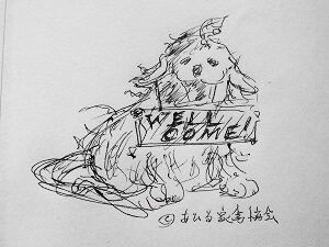 211025犬