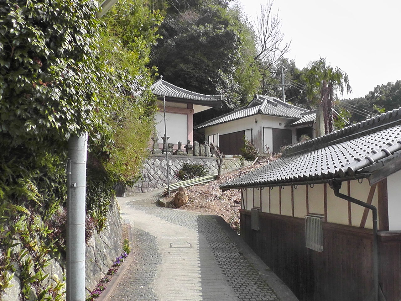 交野市 八葉蓮華寺 はちようれんげじ Ahisats3のブログ 交野市 八葉蓮華寺 はちようれんげじ Ahisats3のブログ