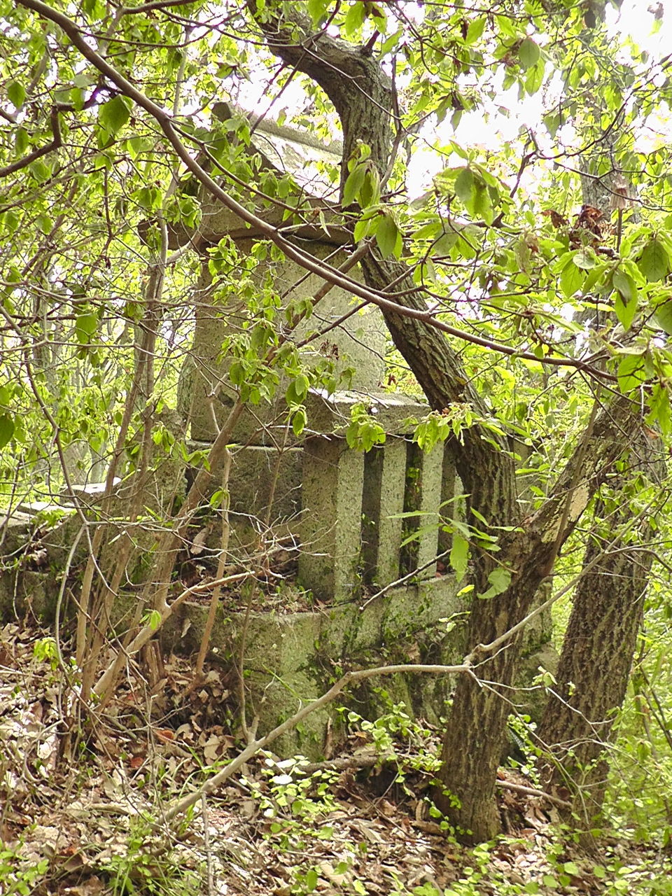 飯盛山の山中に十字架入りの石の祠 Ahisats3のブログ