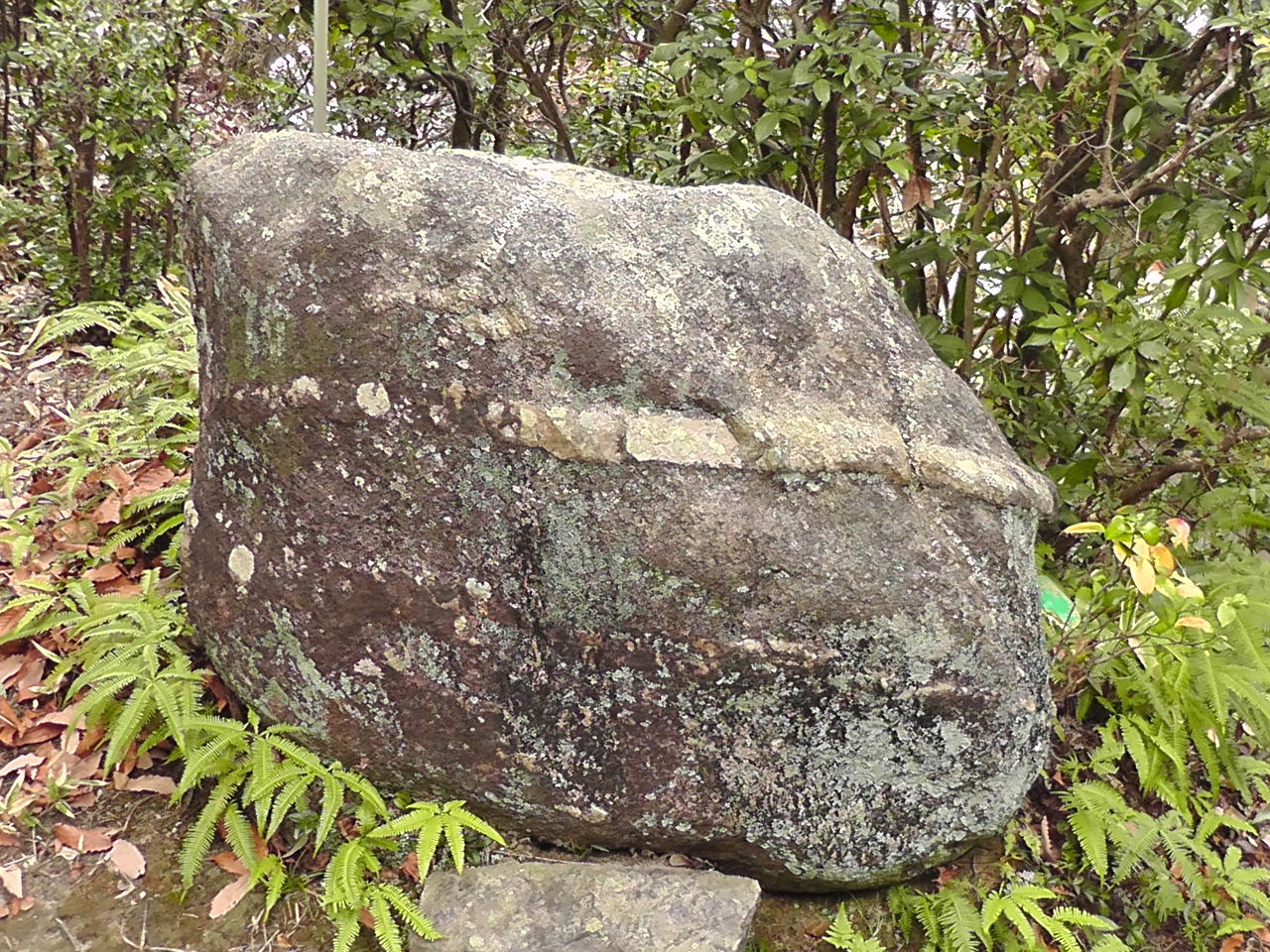 ahisats3のブログ : 交野市「古代人陽石崇拝遺跡」
