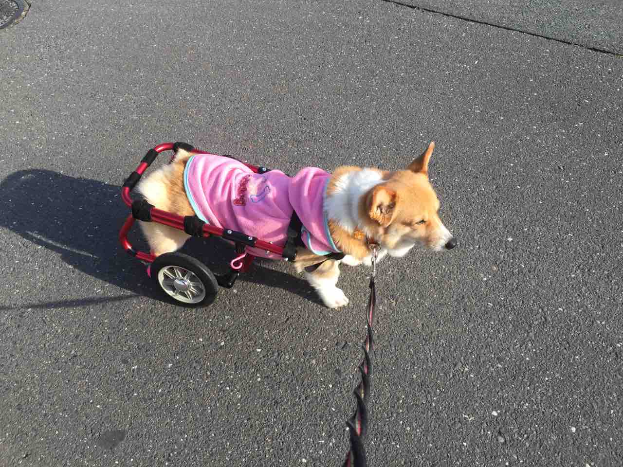 Ffから４wdへ そらしど日記