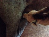 2014-08-12-10-38-58