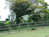 CIMG1065