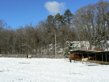 P1040537