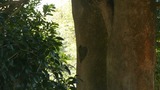 P1060510