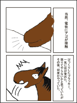 ブラッキーと電牧2