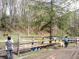 6a291e39.jpg