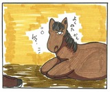 ポニー寝起き