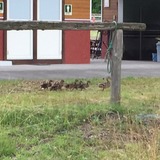 IMG_5740