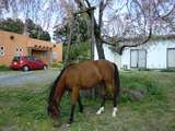 CIMG1038