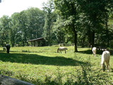 P1040409