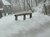 積雪40cm3