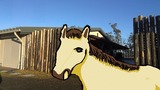 リサの傷5