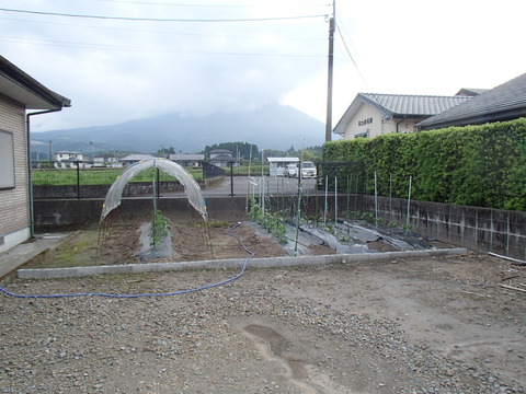 P5210221