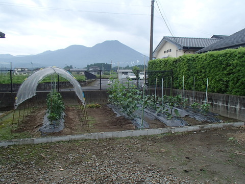 P6030285