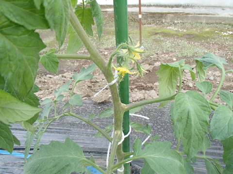 P5210223