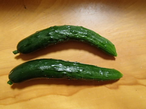 P6030297