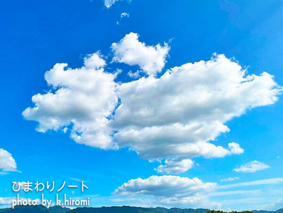 �����ȤΤ褦�ʱ�