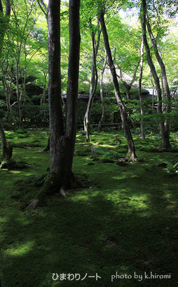 �ݤ�����