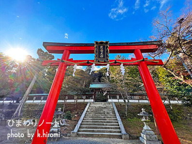 ���ɿ���