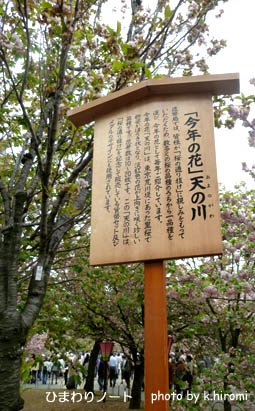 ���¤ʾ�ɡ���ǯ�β֡�ŷ���