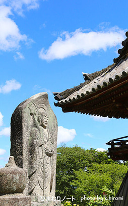 ����¢���ޡ�